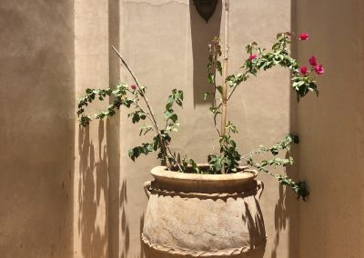 property riad for sale Marrakech